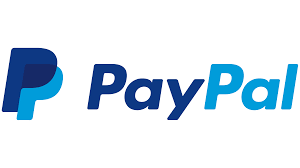 Pakistan Awaits Positive Developments for PayPal and Stripe Payment Gateways, Says IT Minister